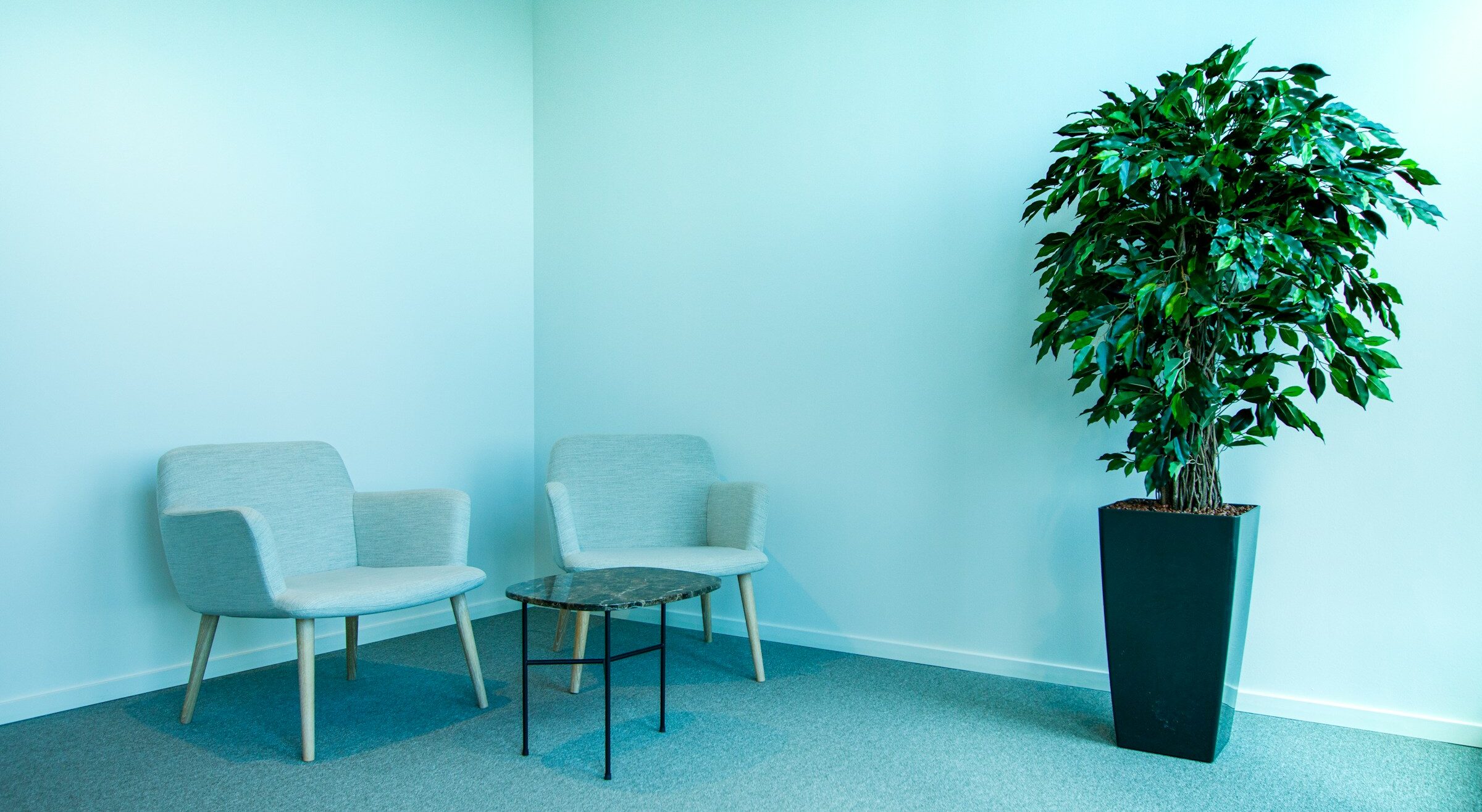 studio-di-psicoterapia-genova